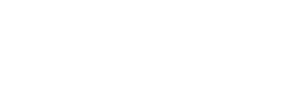 WW Consulting Logo